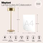 Превью фото №9  Настольная лампа Аккумуляторный светильник Maytoni MOD229TL-L3G3K2