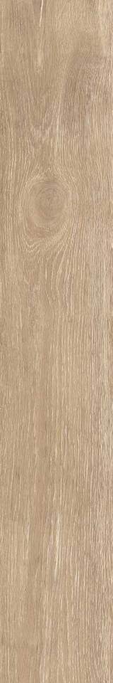 Фото №1  Плитка ASCOT Керамическая плитка Steam Work Quercus 20x120