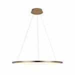 Превью фото №7  Подвесной светильник 10014L Подвесной светильник LOFT IT Ring
