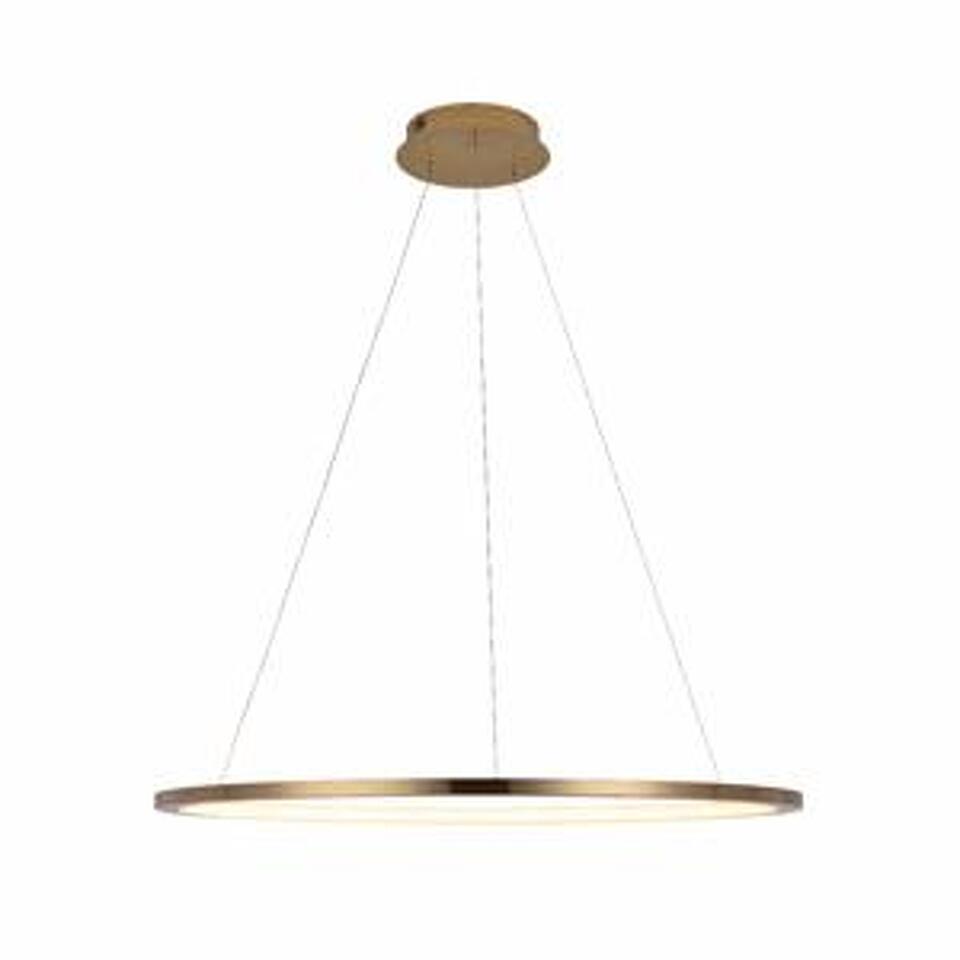 Фото №7  Подвесной светильник 10014L Подвесной светильник LOFT IT Ring
