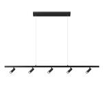 Превью фото №1  Подвесной светильник 10260/5 Black Подвесной светильник LOFT IT Sign