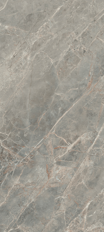 Фото №1  REX Керамогранит ETOILE GRIS MAT 60x120 RET