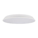 Превью фото №8  10226 White Потолочный светильник LOFT IT Brim