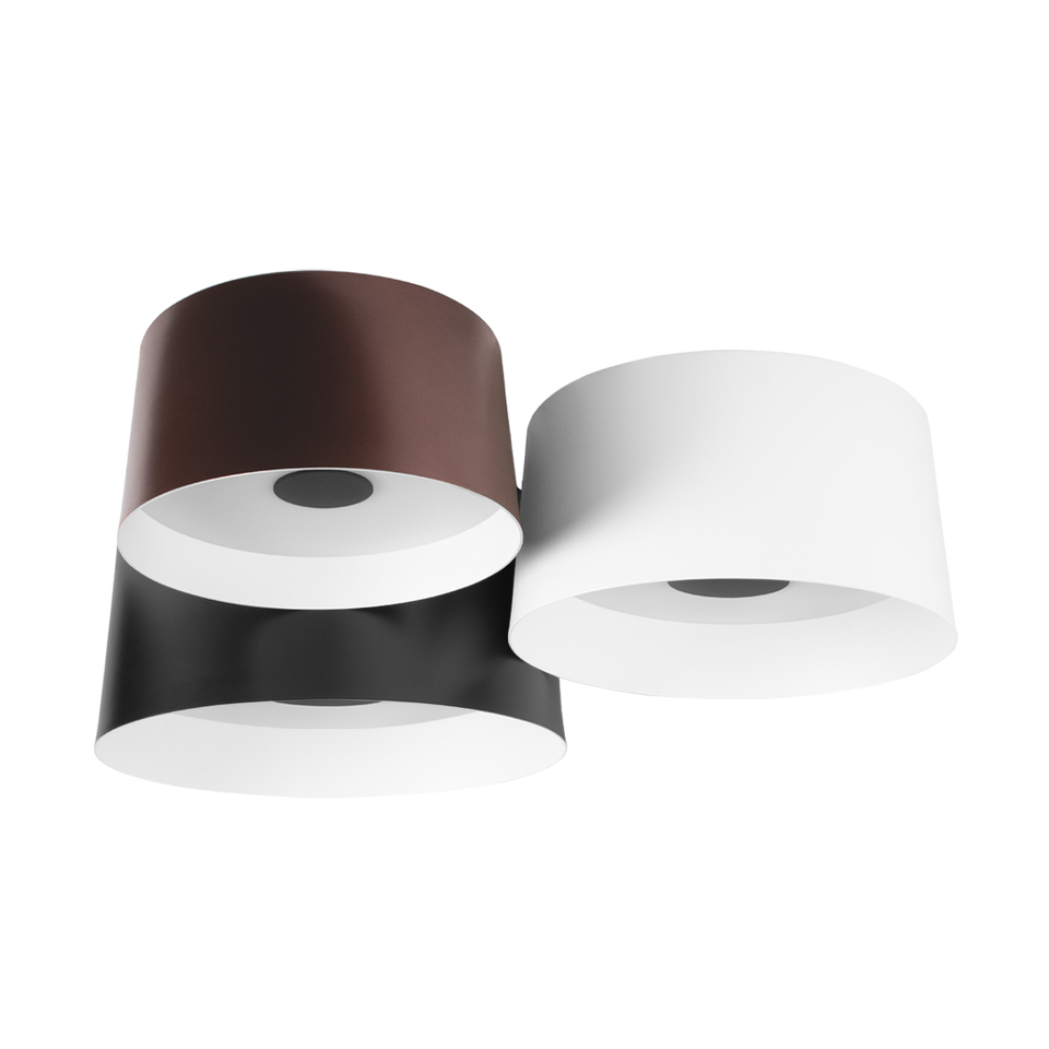 Фото №7  10360/3 Потолочный светильник LOFT IT Duo