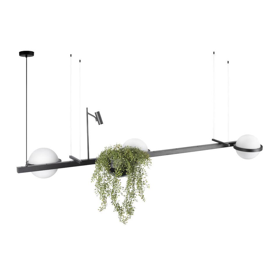 Фото №5  Подвесной светильник 10121/C Подвесной светильник LOFT IT Jardin