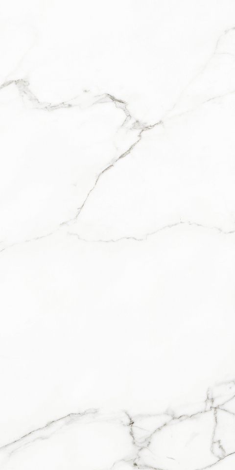 Фото №1  NAXOS Керамогранит RHAPSODY WHITE BEAUTY NAT RET 60X120