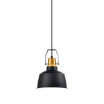 Превью фото №1  Подвесной светильник Подвесной светильник Moderli V1440-1P Felex