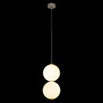 Превью фото №2  Подвесной светильник 10205/E Подвесной светильник LOFT IT Pearls