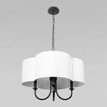 Превью фото №3  Подвесной светильник 10303P Black Подвесной светильник LOFT IT Silence