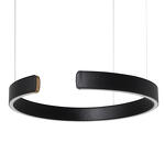 Превью фото №3  Подвесной светильник 10025/400 Black Подвесной светильник LOFT IT Ring