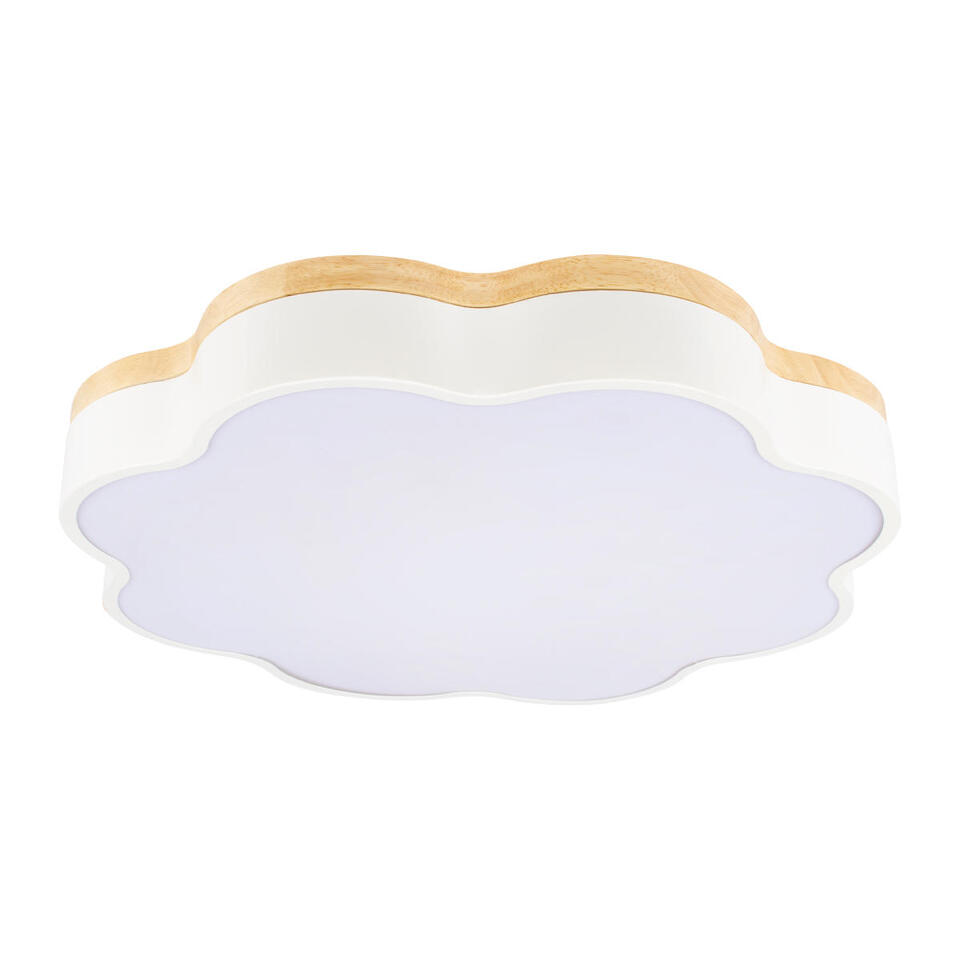 Фото №8  10225/36 White Потолочный светильник LOFT IT Axel