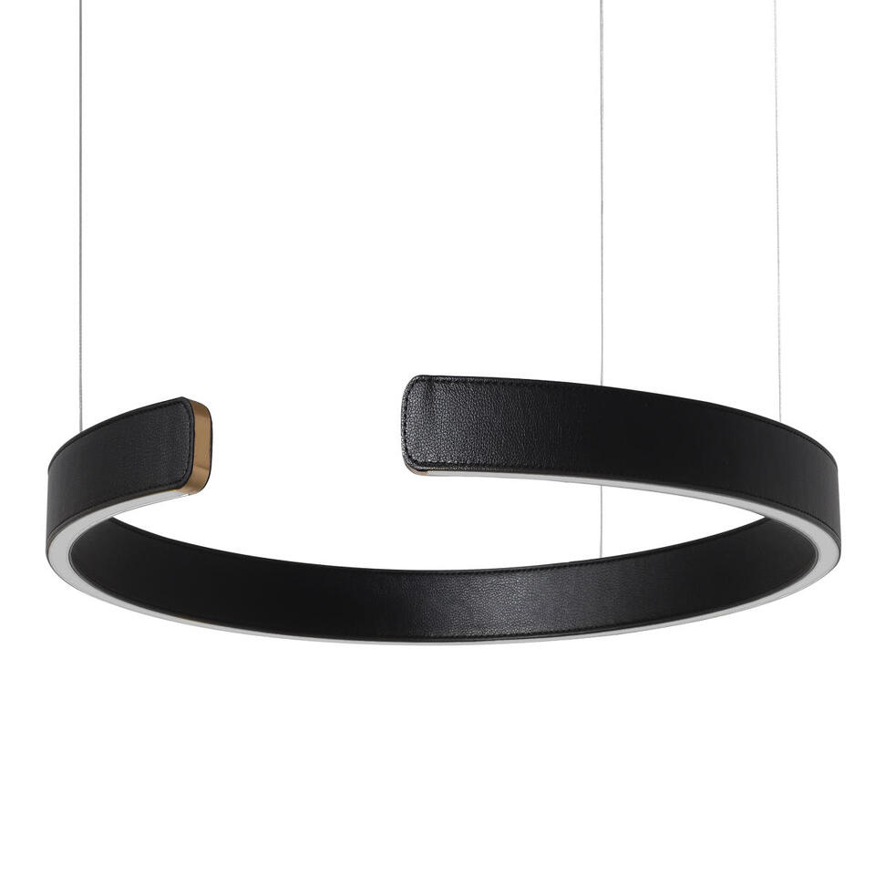 Фото №6  Подвесной светильник 10025/400 Black Подвесной светильник LOFT IT Ring