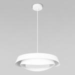 Превью фото №9  Подвесной светильник 10256P White Подвесной светильник LOFT IT Petale
