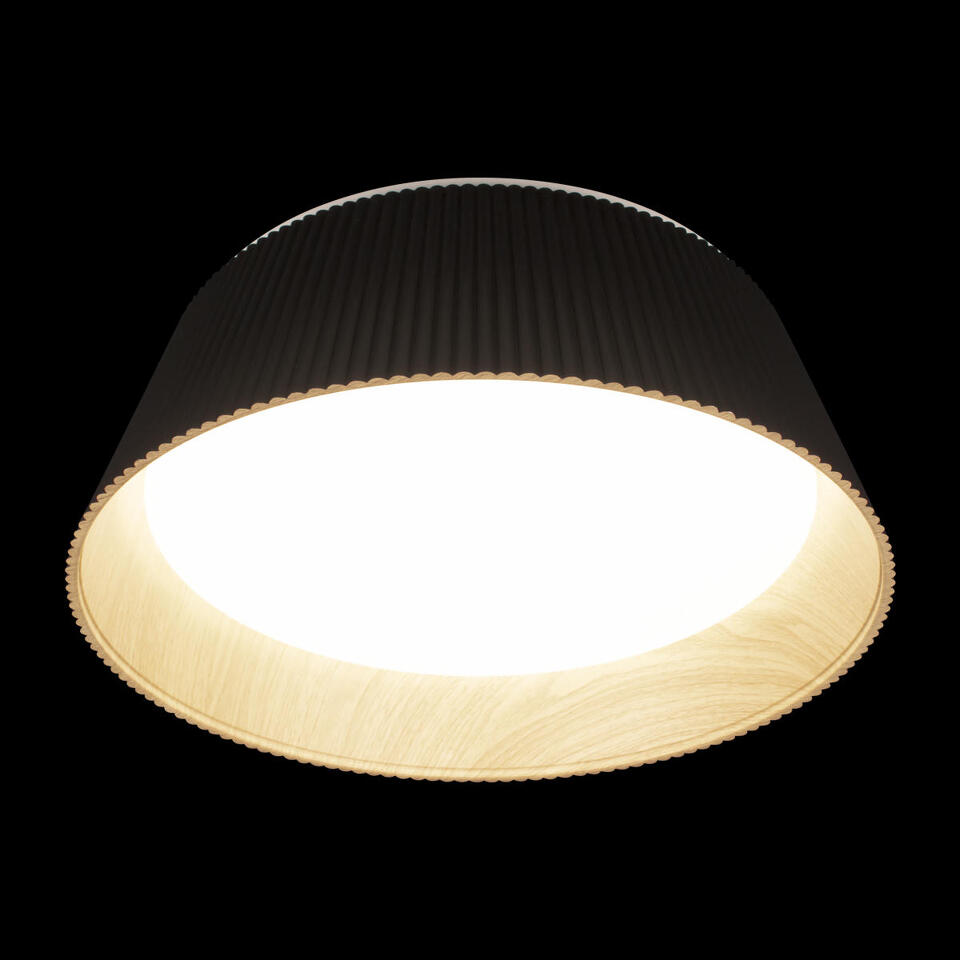 Фото №6  10224 Black Потолочный светильник LOFT IT Evans