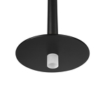 Превью фото №5  Подвесной светильник 10358/830 Disk Подвесной светильник LOFT IT Reed