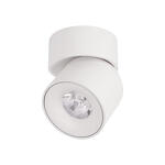 Превью фото №1  10180 White 4000K Накладной светильник LOFT IT Tictac