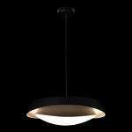 Превью фото №10  Подвесной светильник 10256P Black Подвесной светильник LOFT IT Petale