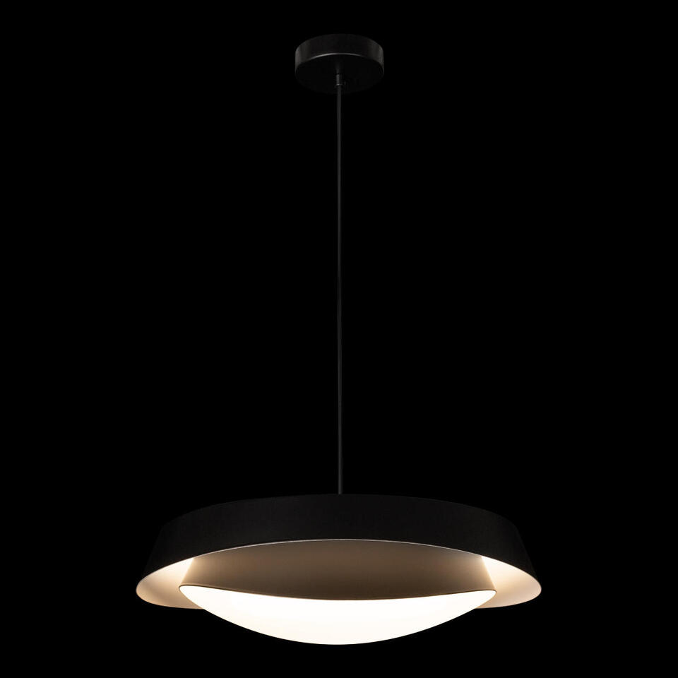 Фото №12  Подвесной светильник 10256P Black Подвесной светильник LOFT IT Petale