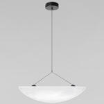 Превью фото №3  Подвесной светильник 10347/L Подвесной светильник LOFT IT Tense
