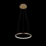 Превью фото №2  Подвесной светильник 10014S Подвесной светильник LOFT IT Ring