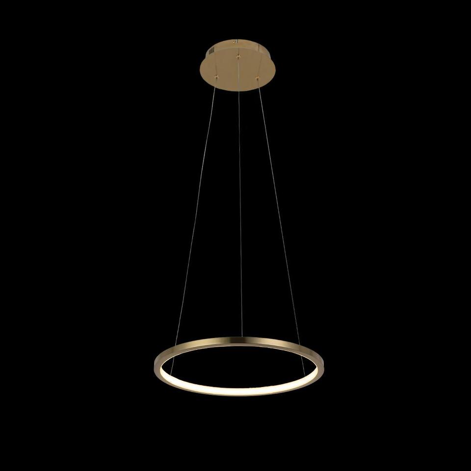 Фото №5  Подвесной светильник 10014S Подвесной светильник LOFT IT Ring
