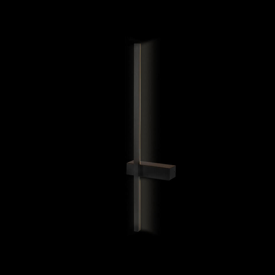Фото №6  10149/600 Black Настенный светильник LOFT IT Linio