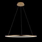 Превью фото №2  Подвесной светильник 10014L Подвесной светильник LOFT IT Ring