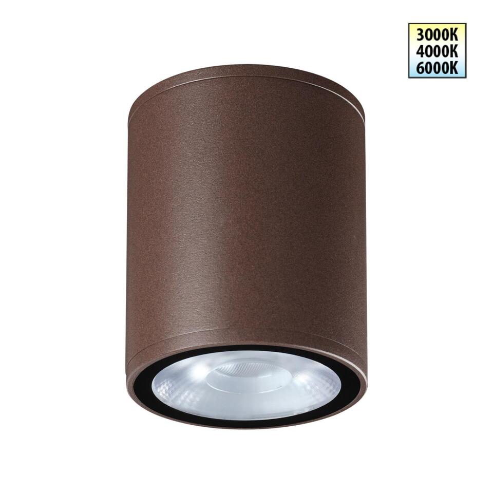 Фото №6  NOVOTECH 359536 STREET NT25 000 коричневый Светильник ландшафтный с переключ. цветовой температуры IP65 LED 10W 100-240V 3000К\4000К\6000К TUMBLER