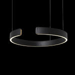 Превью фото №4  Подвесной светильник 10025/400 Black Подвесной светильник LOFT IT Ring