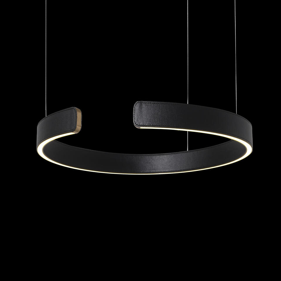 Фото №6  Подвесной светильник 10025/400 Black Подвесной светильник LOFT IT Ring