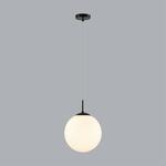 Превью фото №3  Подвесной светильник LUMION 6510/1 SUSPENTIONI LN26 409 чёрный Подвес E27 1*60W 220V SUMMER