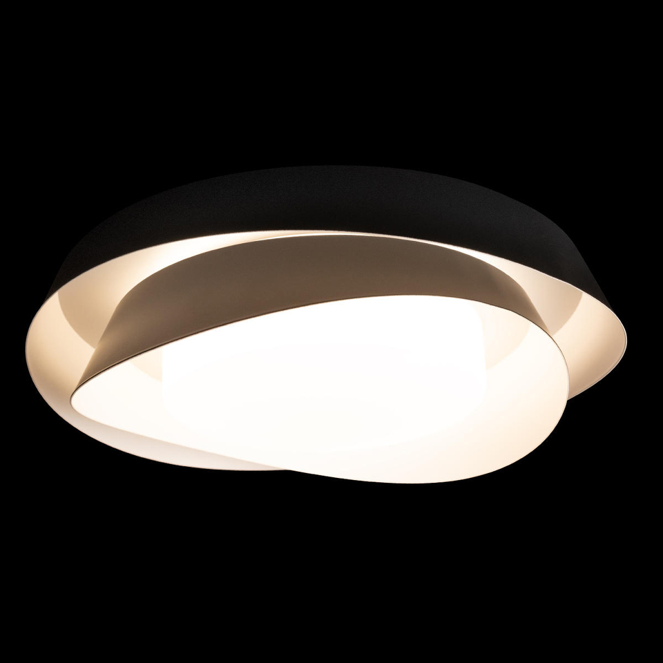 Фото №8  10256 Black Потолочный светильник LOFT IT Petale
