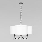 Превью фото №1  Подвесной светильник 10303P Black Подвесной светильник LOFT IT Silence