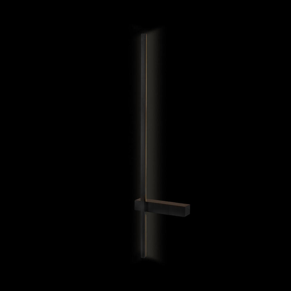 Фото №6  10149/900 Black Настенный светильник LOFT IT Linio