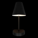 Превью фото №4  10216/1W Black Настенный светильник LOFT IT Shelf