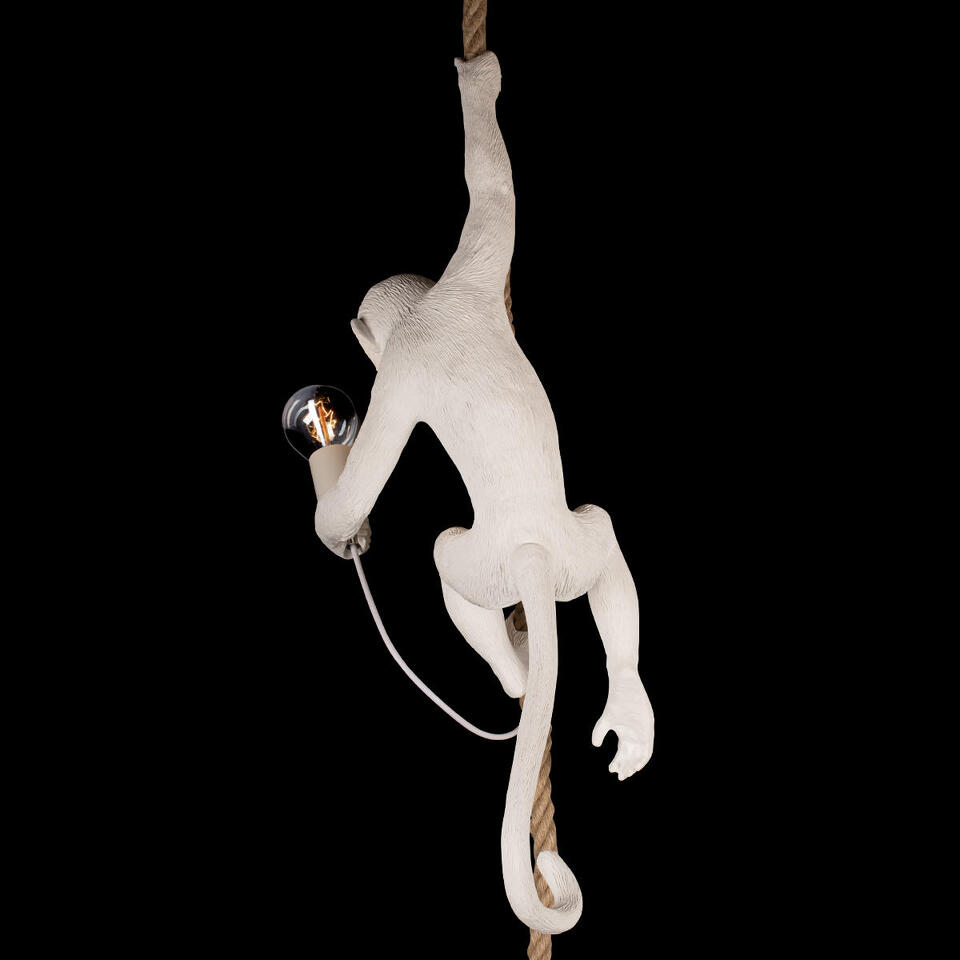 Фото №10  Подвесной светильник 10314P Подвесной светильник LOFT IT Monkey