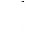 Превью фото №7  10359/1000 Black Потолочный светильник LOFT IT Cane