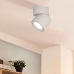 Превью фото №6  10180 White 4000K Накладной светильник LOFT IT Tictac