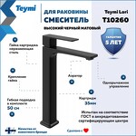 Превью фото №2  Teymi Смеситель для раковины Lori высокий, черный матовый T10260