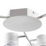 Превью фото №3  Люстра LUMION 8235/9C COMFI LN26 242 белый металл Люстра потолочная LED GX53 9*12W 220V GARETA