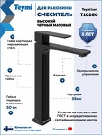 Превью фото №17  Teymi Смеситель для раковины Lori высокий, черный матовый T10260