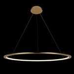 Превью фото №4  Подвесной светильник 10014L Подвесной светильник LOFT IT Ring