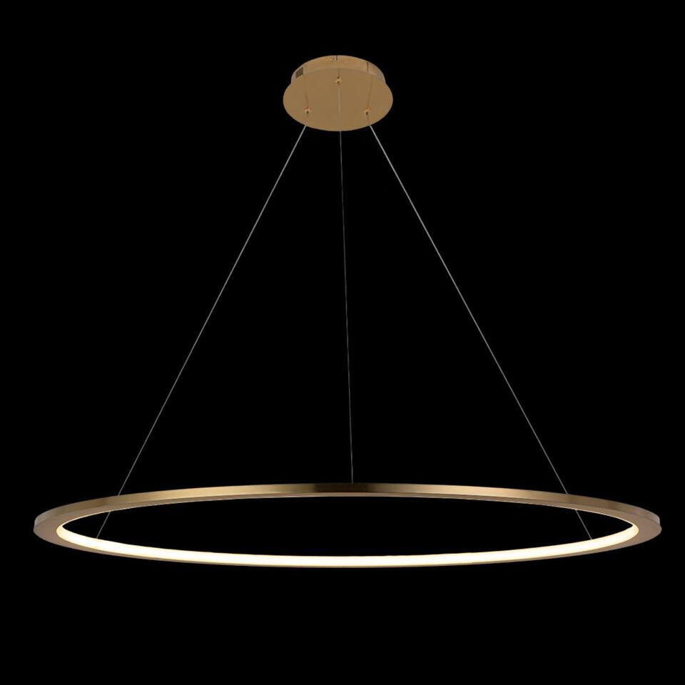 Фото №7  Подвесной светильник 10014L Подвесной светильник LOFT IT Ring