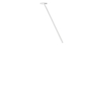 Превью фото №1  10359/500 White Потолочный светильник LOFT IT Cane