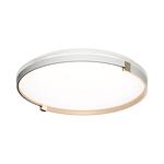 Превью фото №5  SONEX 7646/DL PALE SN 189 Светильник пластик/белый/золотой LED 48Вт 4000К D390 IP43 OLIDI WHITE