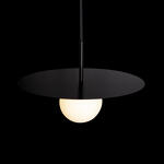 Превью фото №6  Подвесной светильник 10120/350P Black Подвесной светильник LOFT IT Ufo