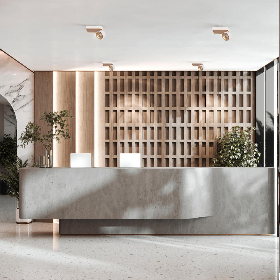 Фото №7  10324/A Gold White Накладной светильник LOFT IT Knof