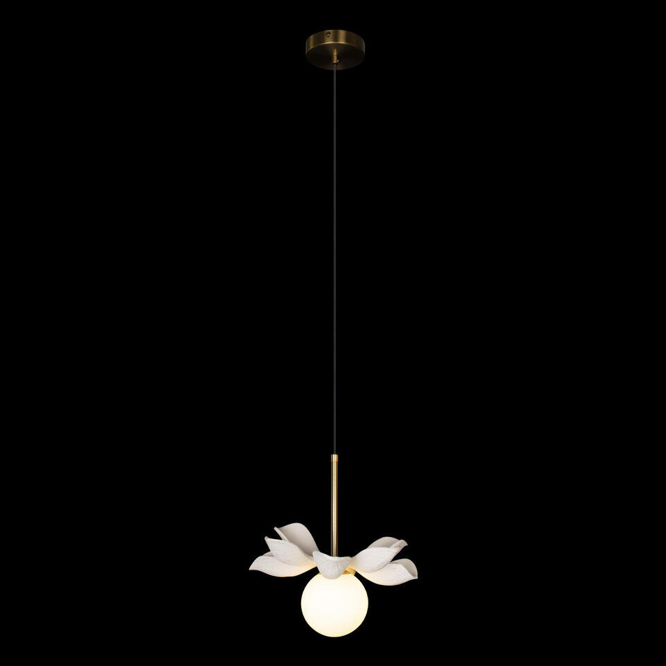 Фото №6  Подвесной светильник 10213/B White Подвесной светильник LOFT IT Monro