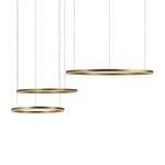 Превью фото №4  Подвесной светильник 10017/3M Подвесной светильник LOFT IT Ring
