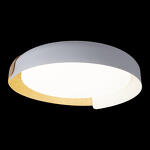 Превью фото №7  10198 White Потолочный светильник LOFT IT Coin